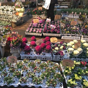 フラワーショップinハウステンボス