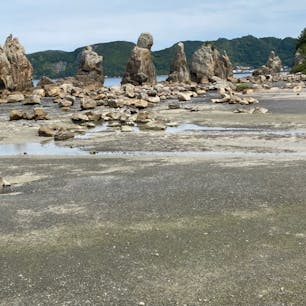 橋杭岩（はしぐいいわ）
橋杭岩は、和歌山県東牟婁郡串本町にある奇岩群。同町の大字鬮野川（くじのかわ）小字橋杭の海岸から紀伊大島方面へ大小約40の岩が南西一列におよそ850メートルもの長きにわたって連続してそそり立っている。直線上に岩が立ち並ぶ姿が橋の杭のように見えることから橋杭岩と呼ばれている。また干潮時には岩の列中ほどに附属する弁天島まで歩いて渡ることができる。

#サント船長の写真　#和歌山県