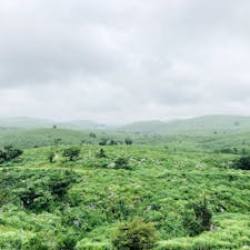 秋吉台　あいにくの曇り空だったけど、草原のグリーンに癒された

#秋吉台　#山口の旅　#0歳子連れ旅