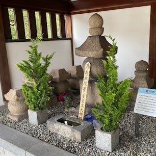 細川ガラシャの墓
崇禅寺(そうぜんじ)

ガラシャの墓の回りには家臣の墓が5基有ります、名前は不明ですが、お寺で聞けば判るかも。

細川 ガラシャ（伽羅奢　迦羅奢 / 明智 玉（子）（明智 珠（子））（ほそかわ ガラシャ / あけち たま（たまこ）、永禄6年（1563年）- 慶長5年7月17日（1600年8月25日））は、戦国時代から安土桃山時代にかけての女性。明智光秀の三女で細川忠興の正室。諱は「たま」（玉/珠）または玉子（たまこ）。法名は秀林院（しゅうりんいん）。キリスト教徒（キリシタン）。

#サント船長の写真　#歴史的人物の墓　#細川ガラシャ　#大阪市　#墓地