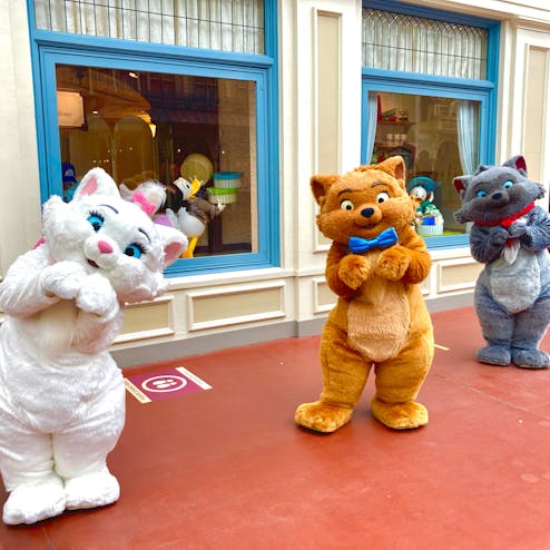 東京ディズニーランド