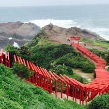 写真でみた通り、海×朱色の鳥居が綺麗
車でないと行けないので諦めていた元乃隅神社でしたが、台風で列車が止まり急遽レンタカーにしたので行けました！

#元乃隅神社 #山口の旅　#0歳子連れ旅