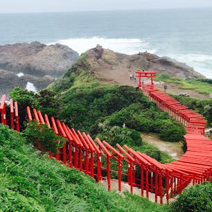 写真でみた通り、海×朱色の鳥居が綺麗
車でないと行けないので諦めていた元乃隅神社でしたが、台風で列車が止まり急遽レンタカーにしたので行けました！

#元乃隅神社 #山口の旅　#0歳子連れ旅