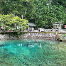 別府弁天池湧水