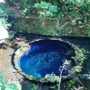 透き通った水が涼しげ。