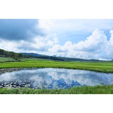 雨竜沼湿原 / 北海道