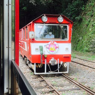 小さくてかわいい電車で山道をモリモリ登ります☆