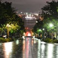 八幡坂

北海道 函館

観光マップにもよくあるけれど、夜の雨が降った後。
濡れた路面に反射する街灯の灯りが素敵。