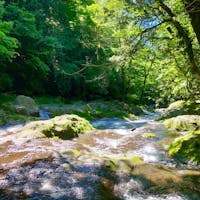 熊本県
〜菊池渓谷〜