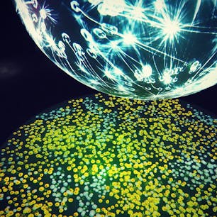 2017.04.20
🏕:NIFREL(大阪府吹田市)
📷:OLYMPUS PEN Lite E-PL7