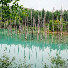 2017.08.16
🏕:青い池(北海道美瑛町)
📷:OLYMPUS PEN Lite E-PL7
