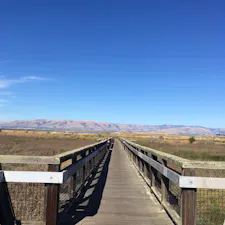 Bay TrailはMountain Viewから北に行った湾沿いにある、海と遠くに山を拝めるサイクリングロード🚲

大草原にかかる木造の橋は、子供心に戻って渡るもよし、心地よい木の響きを噛み締めながら渡るもよし、全てを受け止めてくれます❗️