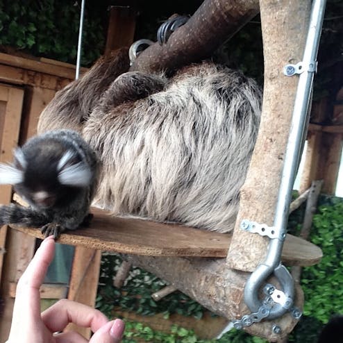 ノースサファリサッポロ