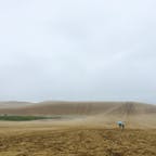 雨の鳥取砂丘