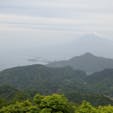 伊豆パノラマパーク

静岡

霞がかってる富士山が浮世絵の富士山にも見えてきたりこなかったり…。