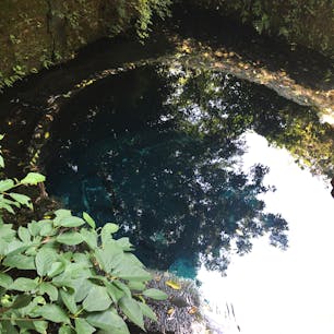 【静岡県 駿東郡】柿田川
深い青に吸い込まれそう