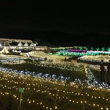 2019.12.25
茨城県 石岡フラワーパーク