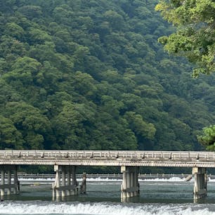 嵐山渡月橋

嵐山のシンボル渡月橋。
桂川に架かる長さ155m、幅11mの木製の橋だ。
平安時代初期に亀山上皇が、月が橋を渡るように動いていく様を見て「くまなき月の渡るに似る」と述べたことがその名の由来だ。
穏やかに流れる桂川に架かる渡月橋とバックの嵐山とのコンビネーションは絶景で、桜や紅葉はもちろん一年を通して四季の美しさを感じることができる。

#サント船長の写真　#全国橋巡り