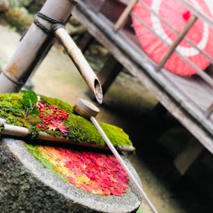 京都 柳谷観音 楊谷寺

花手水が可愛すぎる🥺
グラデーションだったり
ハートになってたり
時期によって色々変わるから
いつ行っても楽しめそう✨