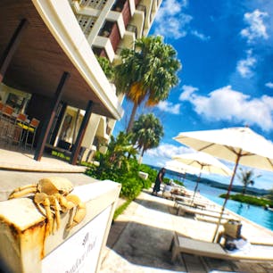 沖縄 The Terrace Club AT Busena

ホテルのプールでめっちゃ遊んだ🏖
ビーチもきれいだし
部屋からの夕日も
最高でした🐬
とりあえず映える🤣