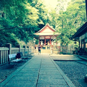 金比羅宮　嚴魂神社　参拝

何千段の階段を登りその奥には素晴らしいパワースポットがありました。
筋肉痛必須