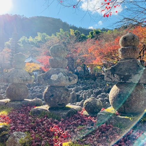 嵐山・嵯峨野・太秦・桂