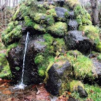 京極 ふきだし公園‎𓂃 𓈒𓏸