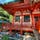 和歌山、加太の淡島神社。
日本人形だらけ。