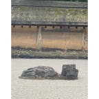 龍安寺の石庭
龍安寺（りょうあんじ）は室町時代、細川勝元によって創建されたお寺です。有名な枯山水庭園は簡素な造りで禅文化が盛んだった当時の時代背景を色濃く残しています。

#サント船長の写真