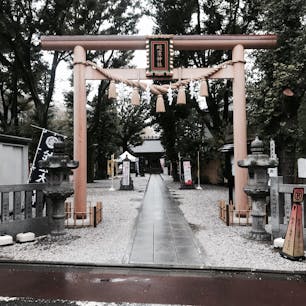 蛇窪神社
西大井駅徒歩8分

蛇がたくさんの神社
金運上昇祈願