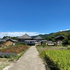 蘇我入鹿首塚

蘇我入鹿は、単なる権勢家の御曹司ではなく、有能な政治家であったようだ。 蘇我入鹿首塚は、明日香村の飛鳥寺の境内から出て少し歩いた所に有ります。
写真は蘇我入鹿の首塚より飛鳥寺を写しました。
#サント船長の写真 #歴史的人物の墓  #墓地