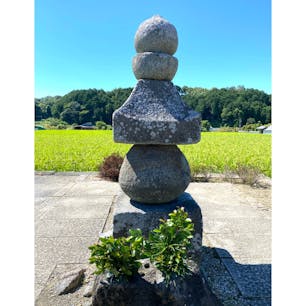 蘇我入鹿首塚

飛鳥寺の境内を西に少し歩いたところに立つ五輪塔。
大化の改新のとき、飛鳥板蓋宮で中大兄皇子らに暗殺された時の権力者・蘇我入鹿の首がそこまで飛んできたとか、襲ってきた首を供養するためにそこに埋めたともいわれる。
五輪塔自体は鎌倉時代または南北朝時代の建立と考えられている。
高さ149cmの花崗岩製で、笠の形の火輪の部分が大きく、軒に厚みがあるのが特徴である。

#サント船長の写真 #歴史的人物の墓  #墓地