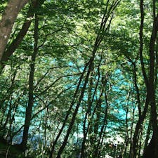 プリトヴィツェ国立公園
自由に渡航できるようになったらまた行きたい