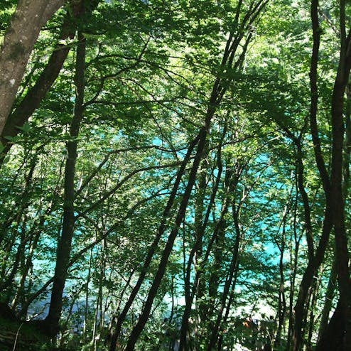 プリトヴィツェ湖群国立公園