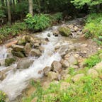 長野県伊那市
そこら辺の沢ですみません💦