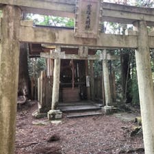 酒呑童子の墓
首塚大明神(京都)
【くびづかだいみょうじん】　京都市内から亀岡へ抜ける国道9号線。その2つの町ををつなぐ境に、老ノ坂（おいのさか）峠と呼ばれるところがある。
そのトンネルの手前左手に、入りますと、細くさびしい林の中に、ひと気の無い廃墟になったサンリバーの建物群を横目にしばらく進むと、T字路が有り左へ、するとひっそりと立つ「丹波山城国境標示石柱」更に進むと鳥居があらわれます。そこが首塚大明神です。(それより先は禁止)
全国屈指の心霊スポットの数を誇る京都において、その中でも特に危険度が高いといわれる心霊スポットであり、なんと日本三大心霊スポットの１つとして心霊マニアにささやかれている首塚大明神。

決して興味本位で来ては駄目です、民家は有りますが、人影は見た事はありません、それは恐ろしい空間で何か異様な気配に押し潰されそうな大明神です。

#サント船長の写真 #歴史的伝説の墓  #墓地　#首塚大明神　#鳥居