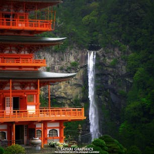 和歌山県・那智勝浦にある熊野那智大社から見た那智の滝。日本三名瀑の1つで、1段の滝としての落差は日本一！世界遺産の熊野古道など歴史と自然信仰が息づく神秘的なエリアです！ちなみに、三大名瀑残りの2つは、栃木県・華厳の滝と茨城県・袋田の滝です！#和歌山県 #那智勝浦 #那智の滝 #熊野那智大社