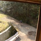モーテル・サンリバー

二階から外を見ました。
自転車は俺等の物です。
以前夜に来て車を止めた場所です。

#サント船長の写真  #モーテルサンリバー