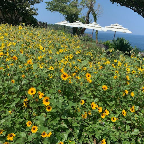 ニューヨークランプミュージアム&フラワーガーデン