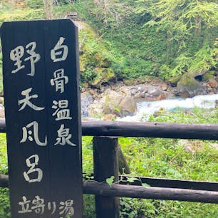 2021年9月12日
少し青みがかった白濁💕でした。