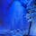 笠置寺・弥勒磨崖仏（みろくまがいぶつ）
磨崖仏に特殊光を当てると、像が現れました。本堂にコレが祀られて居ます。

#サント船長の写真　#石像　#磨崖仏