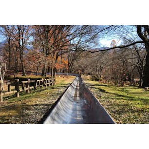 松本市アルプス公園
ドリームコースター楽しい！