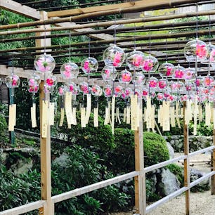 正寿院　風鈴寺とも言われる。
夏には2000個もの風鈴で涼を感じられる。

この日は無風に近く残念でした😩
