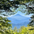 木々の間から富士山🗻