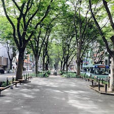 2021年9月16日
杜の都、仙台。