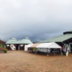 青森
道の駅奥入瀬