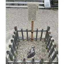 20m先の如意席まで目を閉じながら辿り着くと願いが叶います