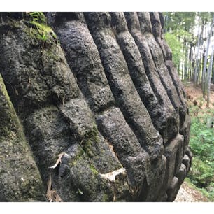 史跡　益田の岩船　

益田岩船は、奈良県橿原市白橿町にある石造物。奈良県指定史跡に指定されている。 亀石や酒船石などと並ぶ飛鳥の石造物の1つで、その中でも最大のものである。

#サント船長の写真　#巨石　#明日香村