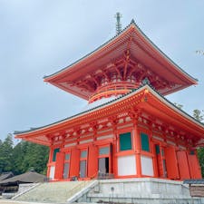 〰️Wakayama🇯🇵〰️
#和歌山#高野山#壇上伽藍#根本大塔