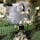 熊野磨崖仏

穏やかな表情の「大日如来」様。頭部上方には三面の種子曼荼羅が刻まれています。
伝説では、磨崖仏は養老2年（718年）仁聞菩薩が造立したと伝えられ、近くの山中には「御所帯場」と呼ばれる作業時の宿泊所跡があります。


#サント船長の写真　#磨崖仏